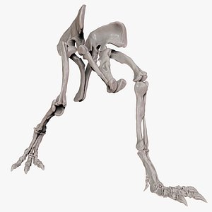 Spinosaurus 2020 version Hip Leg Set Skeletons  Sculpt Project model