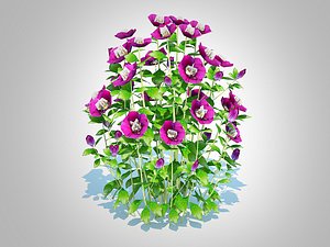 Helleborus orientalis - Lenten rosePurple 3D model
