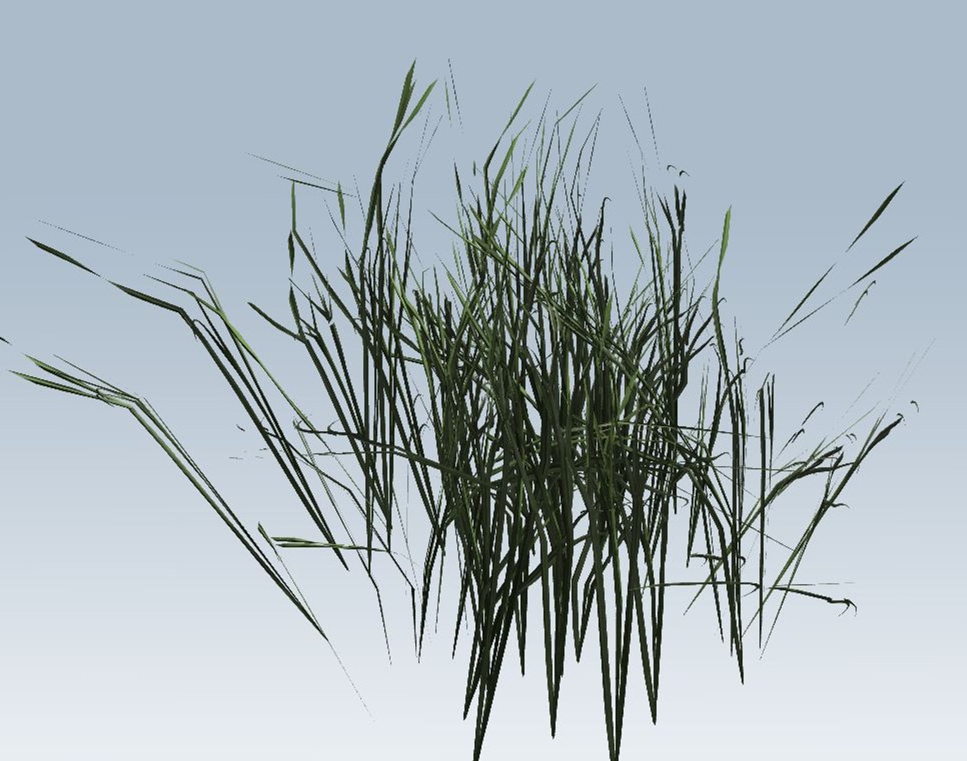grass 3D model https://p.turbosquid.com/ts-thumb/My/Akehvd/OeeVySh6/6/jpg/1544472789/1920x1080/fit_q87/f09dd87861645140e44191d070018379c1044df7/6.jpg