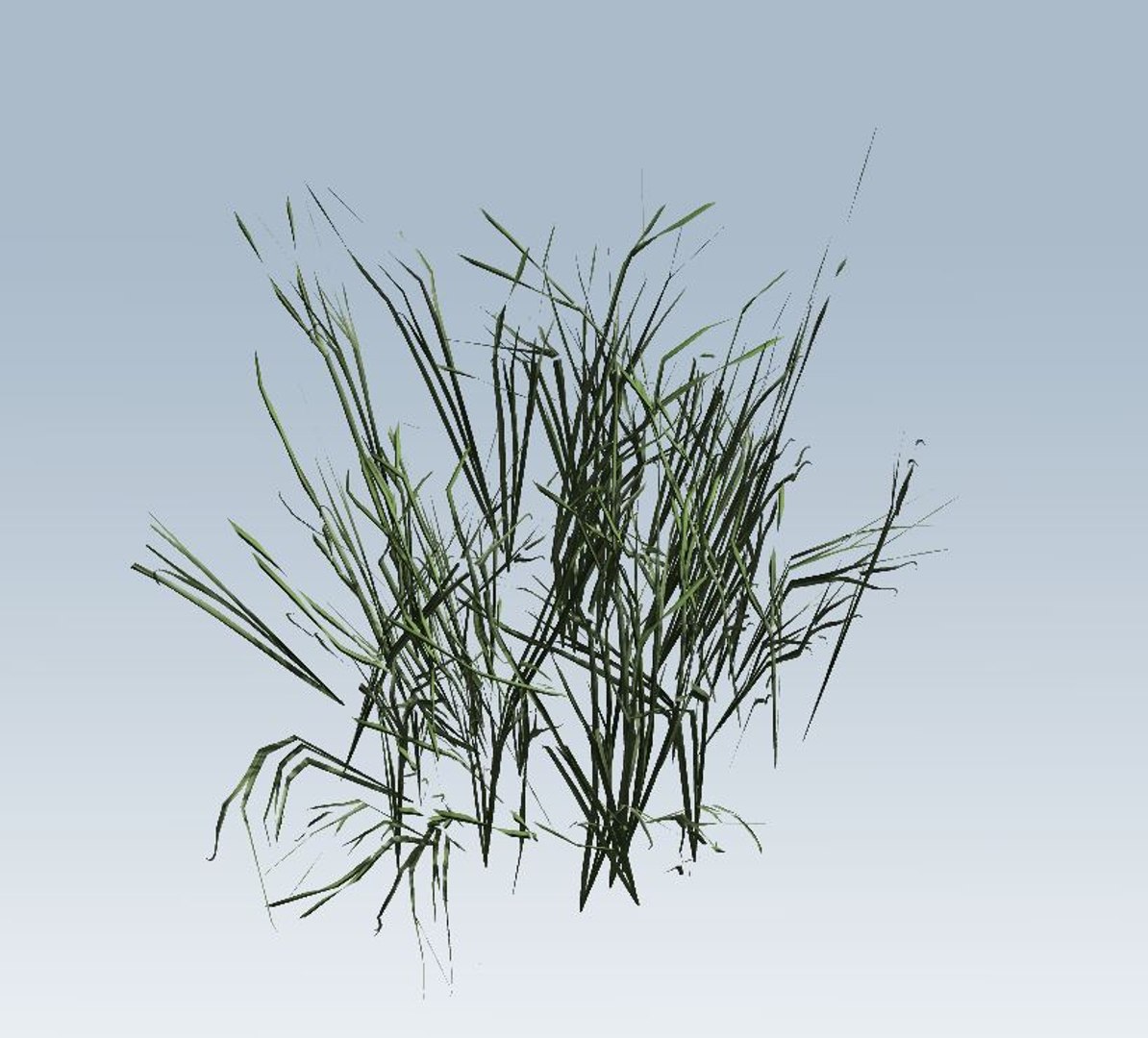 grass 3D model https://p.turbosquid.com/ts-thumb/My/Akehvd/Oh4zZuGi/8/jpg/1544472789/1920x1080/fit_q87/18cfd23fa795e08e3d7163286ea7e30ad672ea01/8.jpg