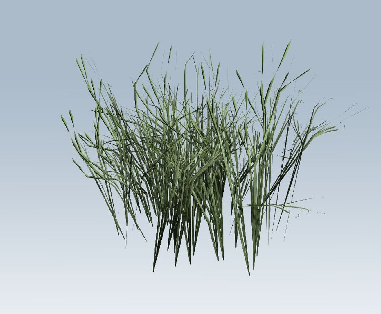 grass 3D model https://p.turbosquid.com/ts-thumb/My/Akehvd/RJKBzO8P/2/jpg/1544472789/1920x1080/fit_q87/467c5f005996b3591ea382d828d3eec6abc3fa25/2.jpg