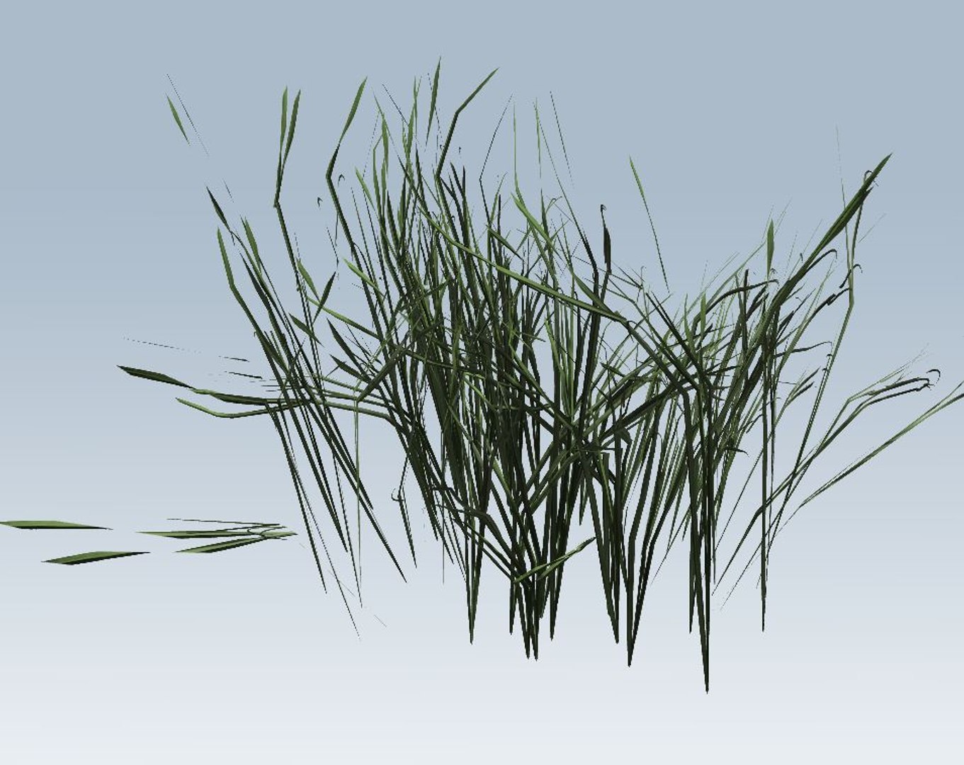 grass 3D model https://p.turbosquid.com/ts-thumb/My/Akehvd/m34rCSqs/5/jpg/1544472789/1920x1080/fit_q87/c827e90a3804b49e63f0b8576905d3e1b44c55bc/5.jpg