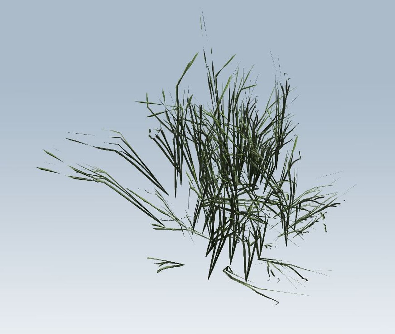 grass 3D model https://p.turbosquid.com/ts-thumb/My/Akehvd/obNXjJ26/7/jpg/1544472789/1920x1080/fit_q87/06d79650efc64881f2f84d2342e1a3abd578613d/7.jpg