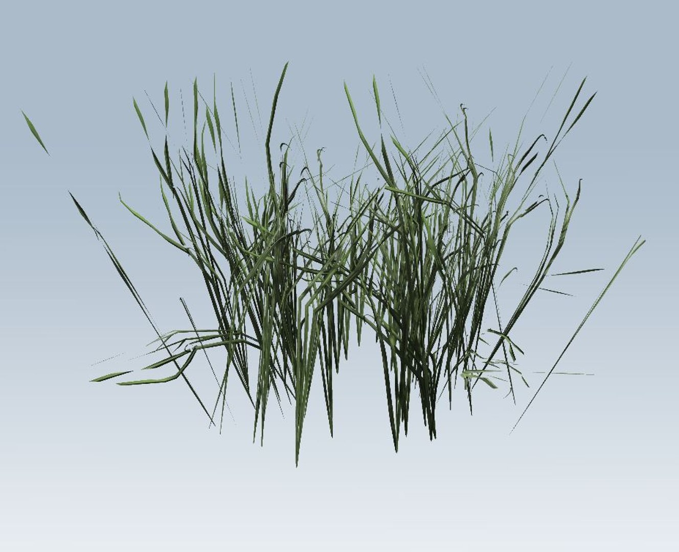 grass 3D model https://p.turbosquid.com/ts-thumb/My/Akehvd/yaEW7Rc1/4/jpg/1544472789/1920x1080/fit_q87/a10bd2cd4da3233fe8ee60f43fa0ebd218a6a65f/4.jpg