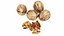 4 in 1 Nuts Collection