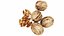 4 in 1 Nuts Collection