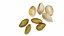 4 in 1 Nuts Collection
