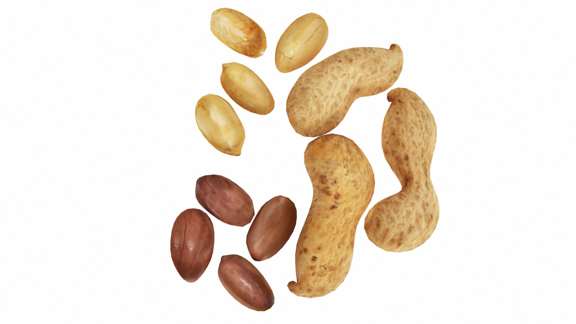 3D 4 1 nuts https://p.turbosquid.com/ts-thumb/My/GqZtAu/fxr4fhaB/0peanut4/jpg/1589006044/1920x1080/fit_q87/d4b430f2e5d4a277ec5686aecaa5d125570acddd/0peanut4.jpg