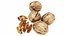 4 in 1 Nuts Collection