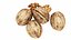 4 in 1 Nuts Collection