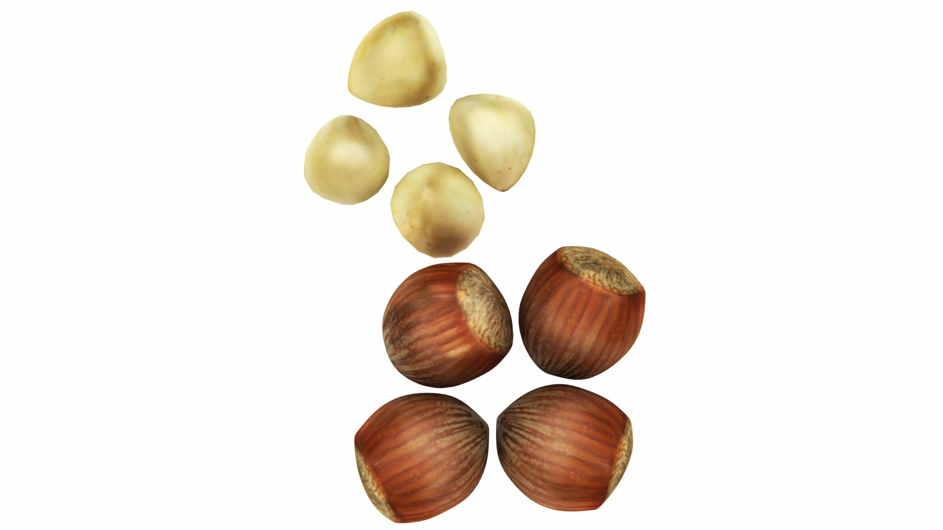 3D 4 1 nuts https://p.turbosquid.com/ts-thumb/My/GqZtAu/qK69Aikg/0hazelnut2/jpg/1589006044/1920x1080/fit_q87/3e6af14fb07db928b4c5d6830d2d03ae8e08b606/0hazelnut2.jpg