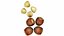 4 in 1 Nuts Collection