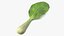 Whole Bok Choy Head Fresh