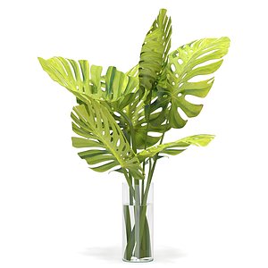 Flower Pack 245c 3D model