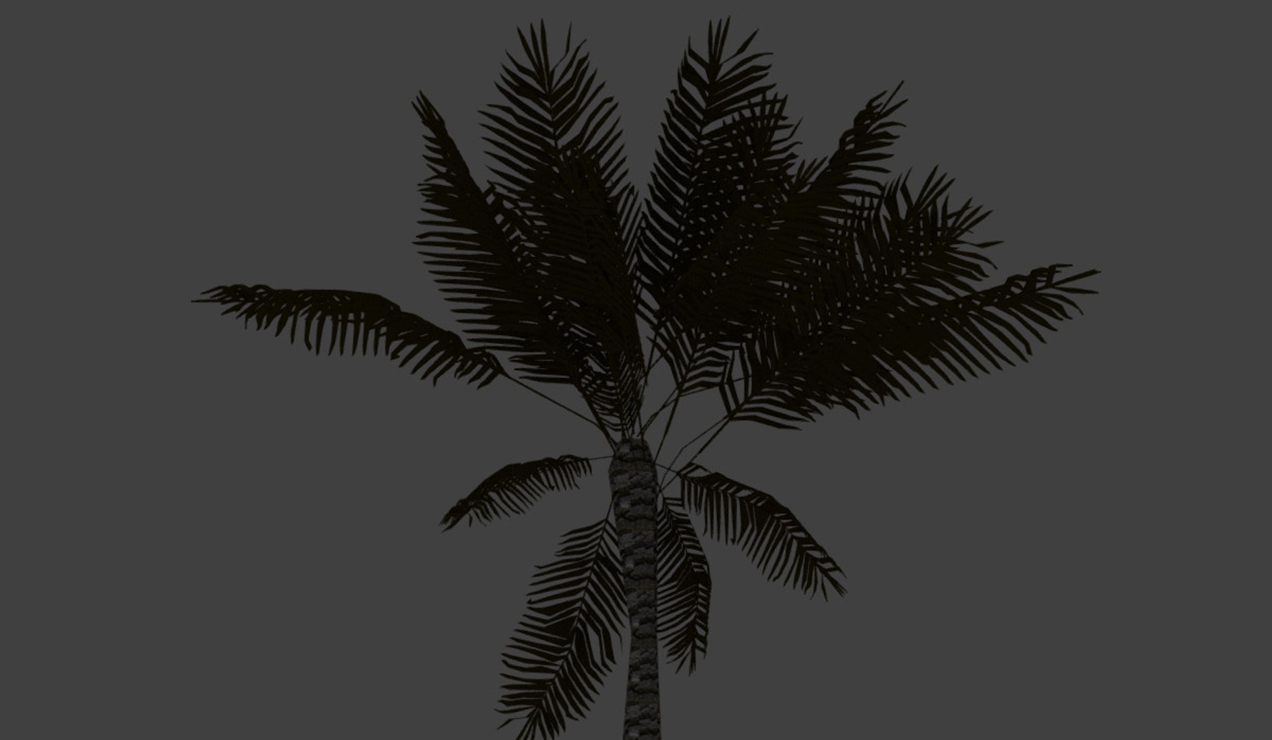 palm tree model https://p.turbosquid.com/ts-thumb/My/ed8Vh3/YVZ3b7pm/tropicalpalmpictures6/jpg/1574159668/1920x1080/fit_q87/c01237f8434c5d4aa1b201671c7331e2800a18d4/tropicalpalmpictures6.jpg