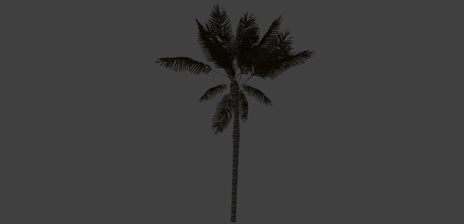 palm tree model https://p.turbosquid.com/ts-thumb/My/ed8Vh3/rvGVsxek/tropicalpalmpictures5/jpg/1574159661/1920x1080/fit_q87/dda35d22284f0113de712caf0887ddbe7fd88cfe/tropicalpalmpictures5.jpg