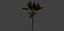 Tropical Island Palm Tree