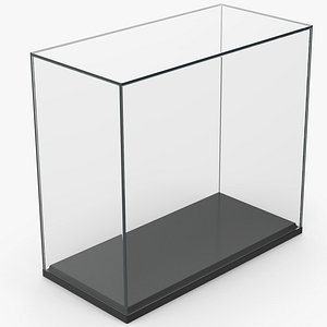 Display Case Box