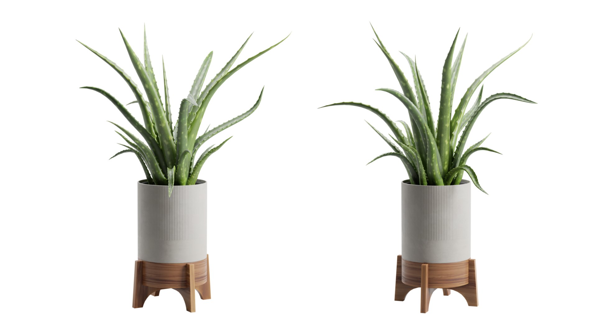 Aloe Vera Potted Stand 3D model https://p.turbosquid.com/ts-thumb/My/iuq6fC/Ig/previewts04_0000/jpg/1750992523/1920x1080/fit_q87/41b4b3634ba5c730c7a8cbaad692f5ab890d95db/previewts04_0000.jpg