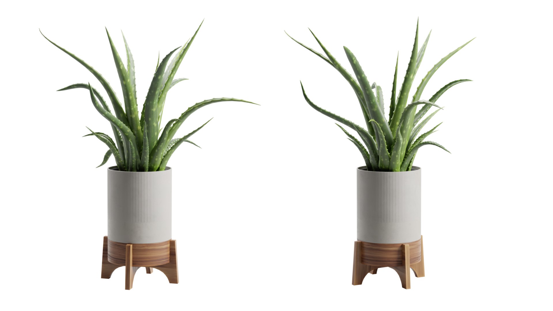 Aloe Vera Potted Stand 3D model https://p.turbosquid.com/ts-thumb/My/iuq6fC/Lg/previewts06_0000/jpg/1750992524/1920x1080/fit_q87/5b3f29790c3bcf802ce88424795a69f9328bfeed/previewts06_0000.jpg