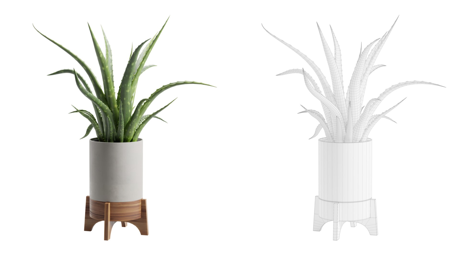 Aloe Vera Potted Stand 3D model https://p.turbosquid.com/ts-thumb/My/iuq6fC/aa/previewts02_0000/jpg/1750992522/1920x1080/fit_q87/453a4a3a7238796562cff4768e115816eb1ea196/previewts02_0000.jpg