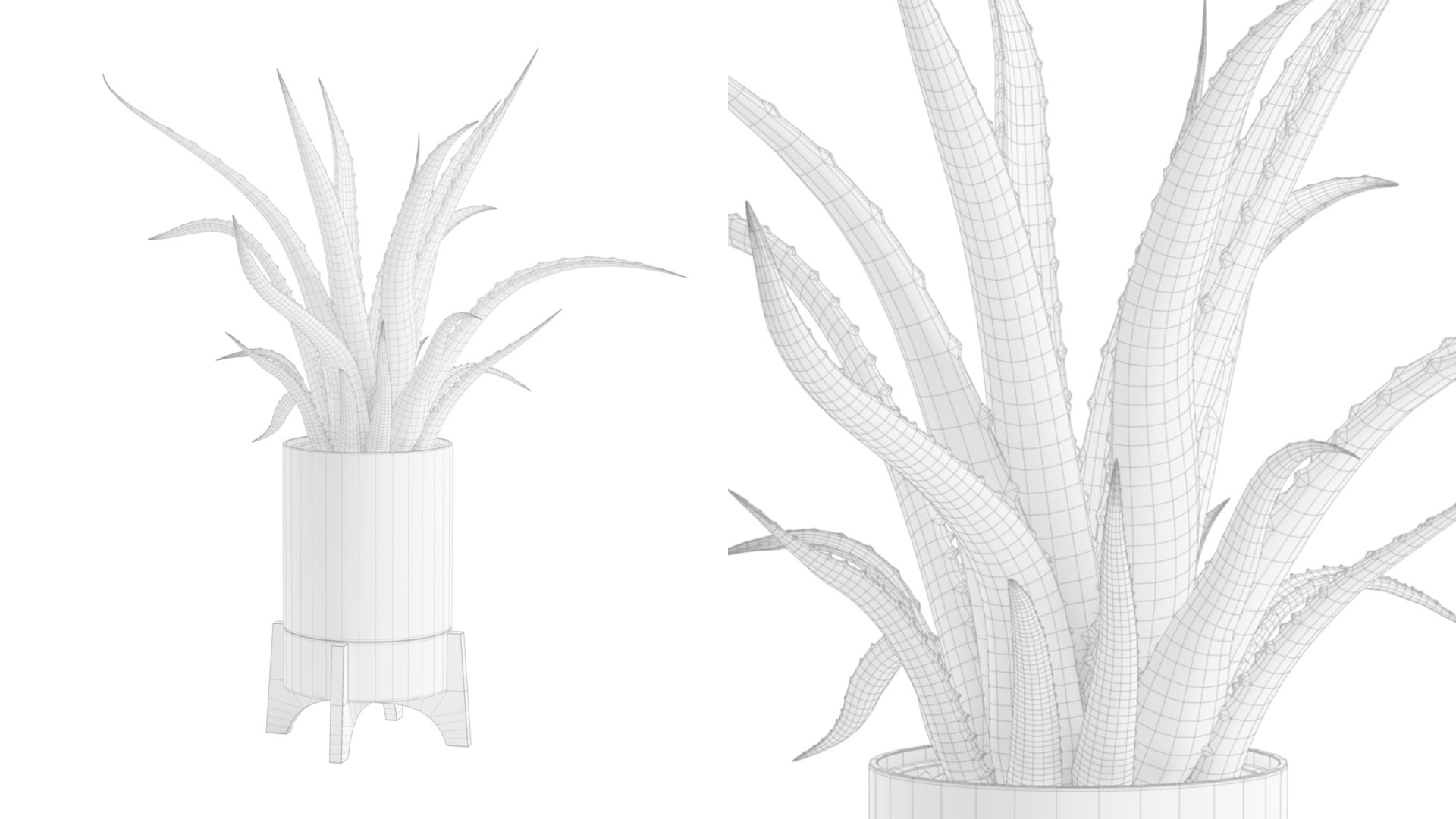 Aloe Vera Potted Stand 3D model https://p.turbosquid.com/ts-thumb/My/iuq6fC/bu/previewts01wire_0000/jpg/1750992677/1920x1080/fit_q87/92af1ea2246fbded97bd5afeb3edafae9802102b/previewts01wire_0000.jpg