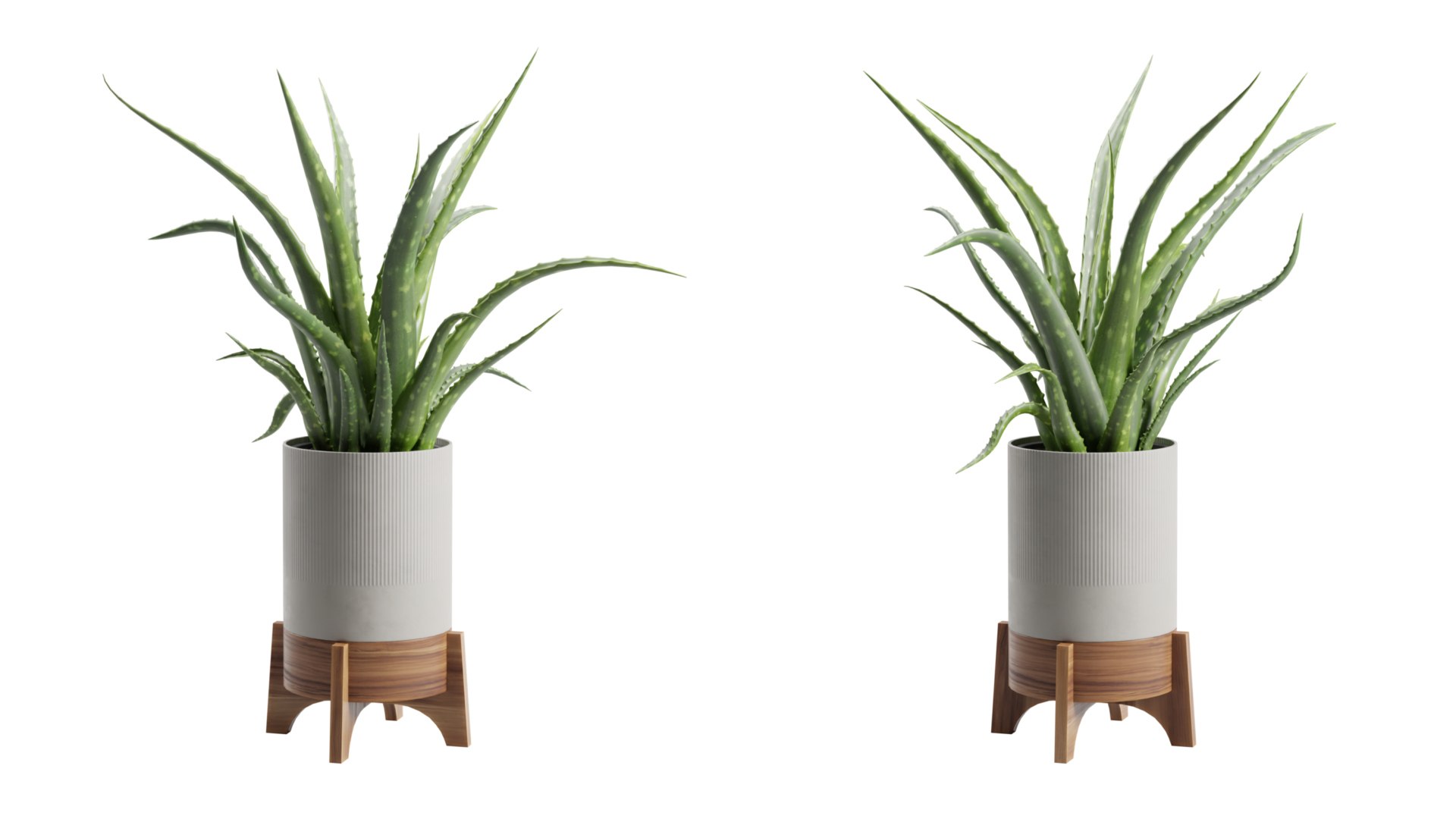 Aloe Vera Potted Stand 3D model https://p.turbosquid.com/ts-thumb/My/iuq6fC/ns/previewts03_0000/jpg/1750992523/1920x1080/fit_q87/cd36957285a3a397cc9f3a58e549e19b74cf8165/previewts03_0000.jpg