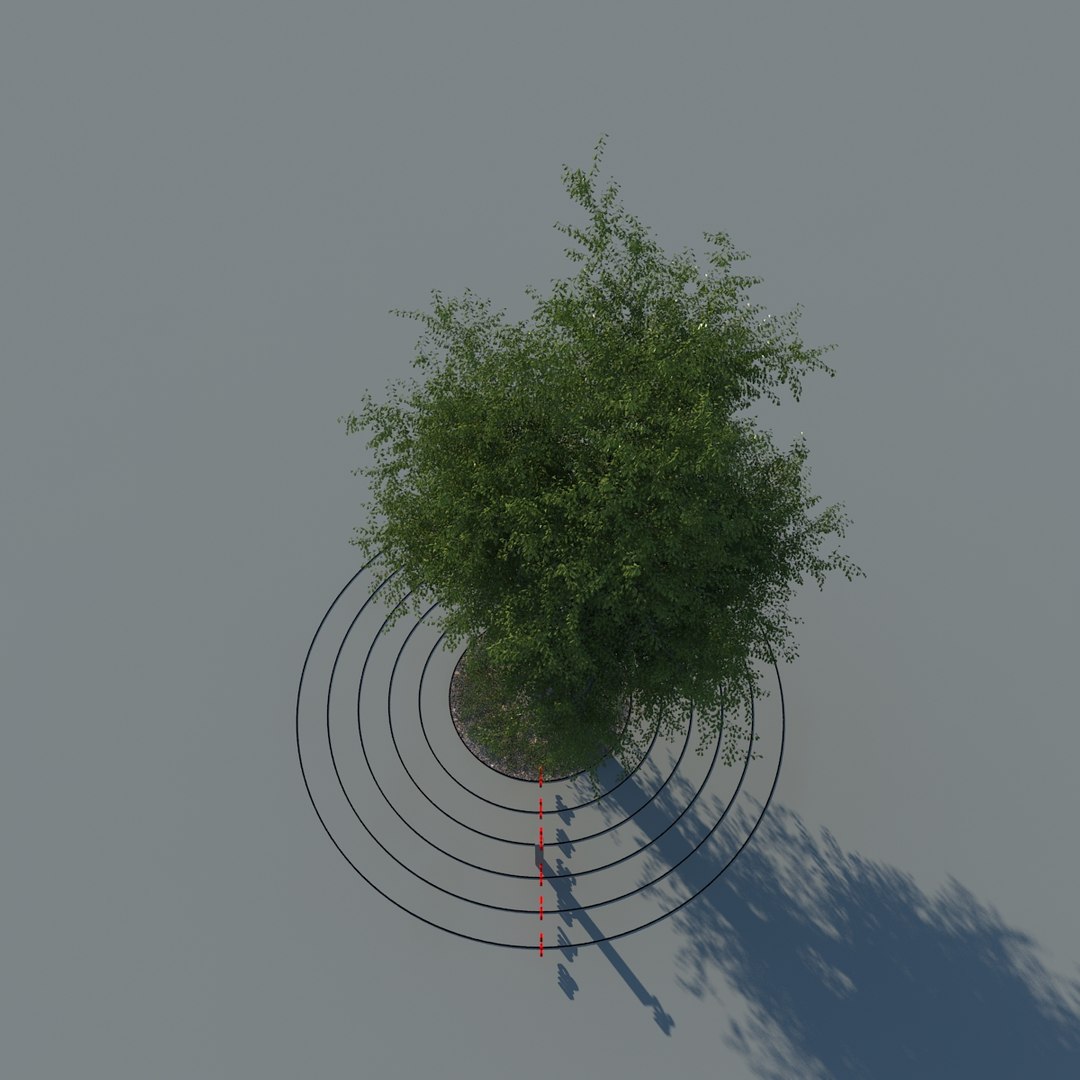 oak tree 3d model https://p.turbosquid.com/ts-thumb/My/lPmrbf/43mm1SFB/oak_typ03_render_f_0004/jpg/1318527034/1920x1080/fit_q87/b15b70a856403a23c065384a25ebf09bef6da083/oak_typ03_render_f_0004.jpg