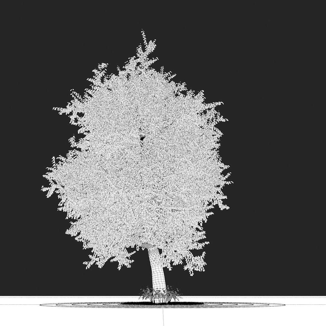 oak tree 3d model https://p.turbosquid.com/ts-thumb/My/lPmrbf/L9v7gy41/oak_typ03_wire2/jpg/1318527034/1920x1080/fit_q87/76c2e736029bdb07ba1e2270d2be81a5db58de6e/oak_typ03_wire2.jpg