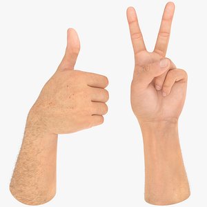 Customizable Rigged and Animated Hands