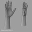 3d model hands rig animate customizable