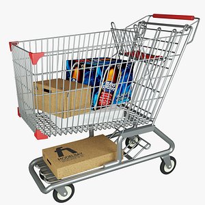 Supermarket shopping cart
