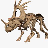 Styracosaurus skeleton