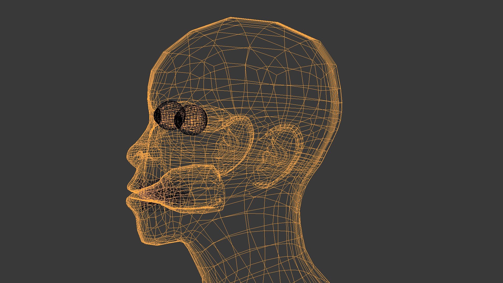 3D head shop https://p.turbosquid.com/ts-thumb/Mz/IFhiPg/NV/wire2/jpg/1648911017/1920x1080/fit_q87/3546b082833edc14f085315b57430cd823efc726/wire2.jpg