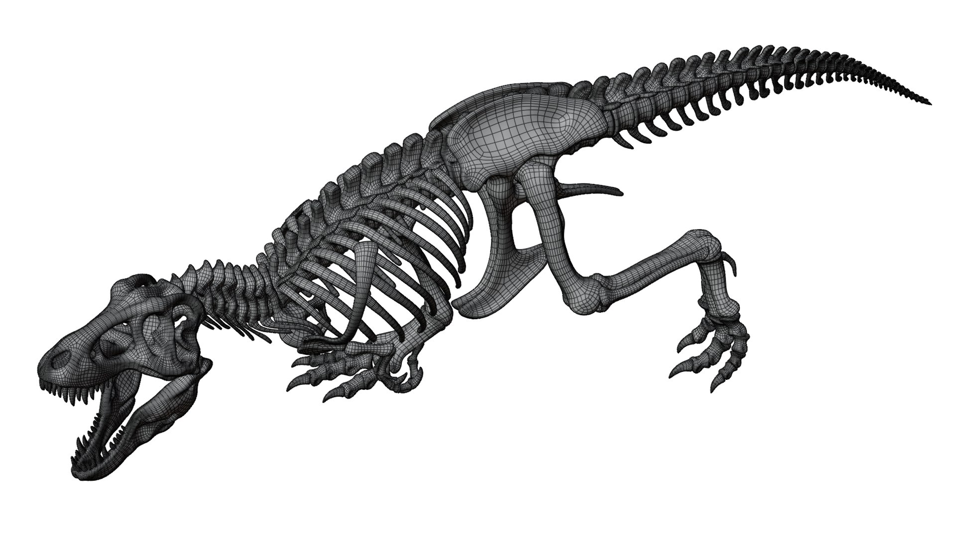 3D Tyrannosaurus Rex Skeleton 02 c https://p.turbosquid.com/ts-thumb/Mz/Jamt8c/dy/tyrannosaurusrexskeleton_02_wire_03/png/1770690626/1920x1080/fit_q87/1b065a087f0afab593f4772d60adafb27f5d76ee/tyrannosaurusrexskeleton_02_wire_03.jpg