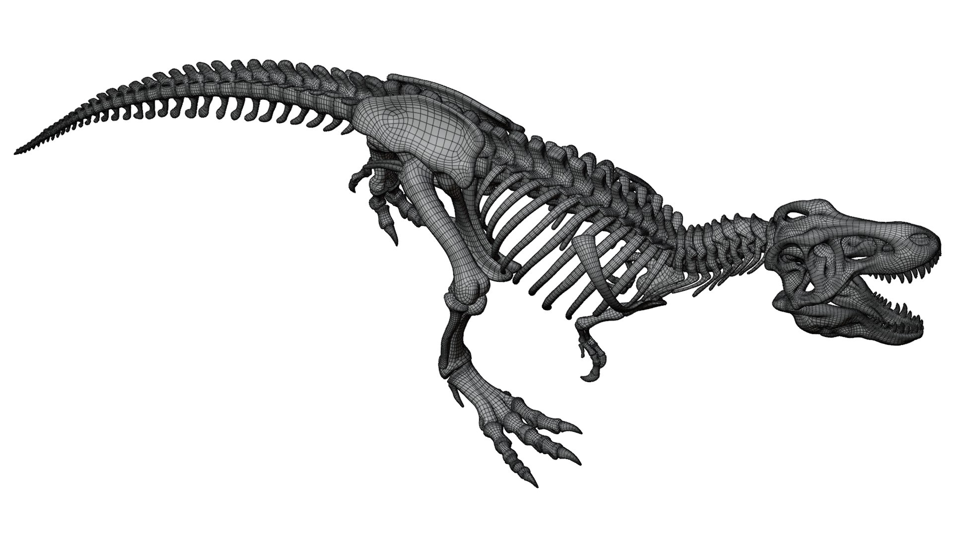 3D Tyrannosaurus Rex Skeleton 02 c https://p.turbosquid.com/ts-thumb/Mz/Jamt8c/h5/tyrannosaurusrexskeleton_02_wire_02/png/1770690624/1920x1080/fit_q87/32ed4c1ba0dce4e1cb9c4c82b6edc4ee6b6b951c/tyrannosaurusrexskeleton_02_wire_02.jpg