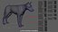 Wolf XGEN-CORE ANIMATED 3D model