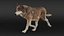 Wolf XGEN-CORE ANIMATED 3D model
