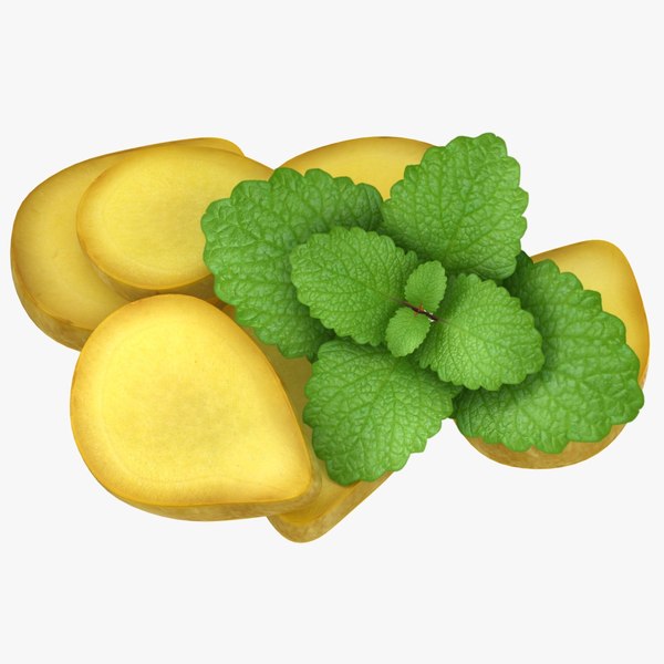 realistic ginger slice mint 3D model