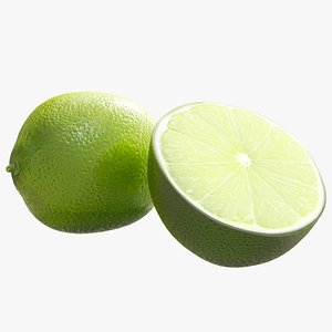 realistic lime model