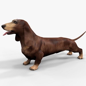 3D Dachshund Rigged L1807