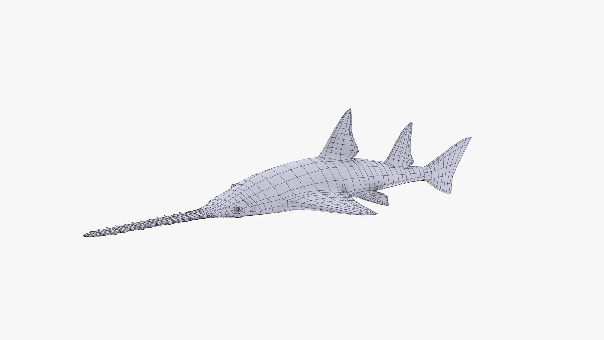 3d model sawfish fish https://p.turbosquid.com/ts-thumb/Mz/QSHEhv/p8R7W05w/sawfish_camera01_wire/jpg/1588870333/1920x1080/turn_fit_q99/358a3ecbe39b7ed1900a2ad74845028c8cff6481/sawfish_camera01_wire-1.jpg
