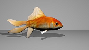 Goldfish