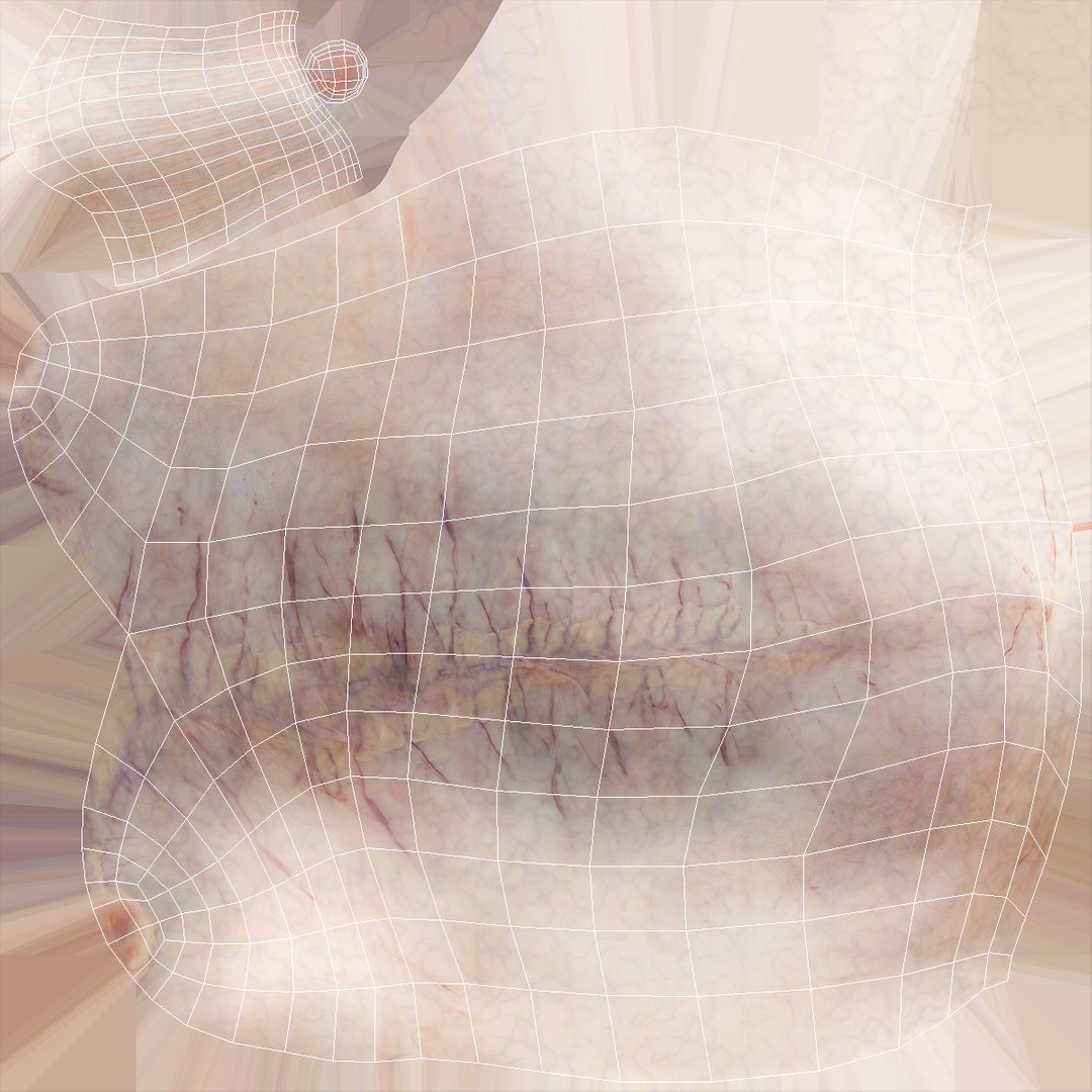 human stomach 3D model https://p.turbosquid.com/ts-thumb/Mz/TUGjLy/ANBye7fH/humanstomachvray3dmodel012/jpg/1570746396/1920x1080/fit_q87/72536173ade33dc647d0cbe74e246c27f752ccda/humanstomachvray3dmodel012.jpg