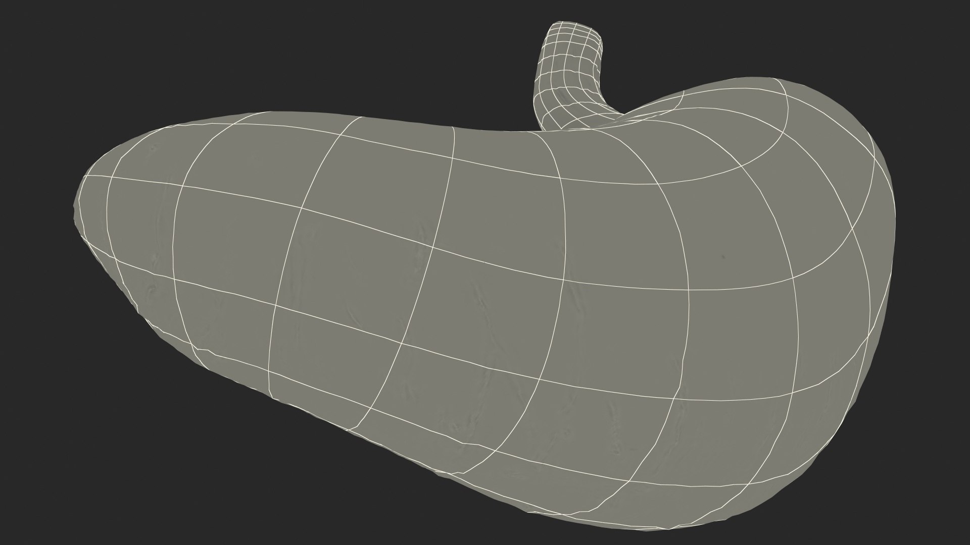 human stomach 3D model https://p.turbosquid.com/ts-thumb/Mz/TUGjLy/lcnBFQFm/humanstomachvray3dmodel016/jpg/1570746412/1920x1080/fit_q87/462025ee3398288c3480e4b7605c6d1669a84cde/humanstomachvray3dmodel016.jpg