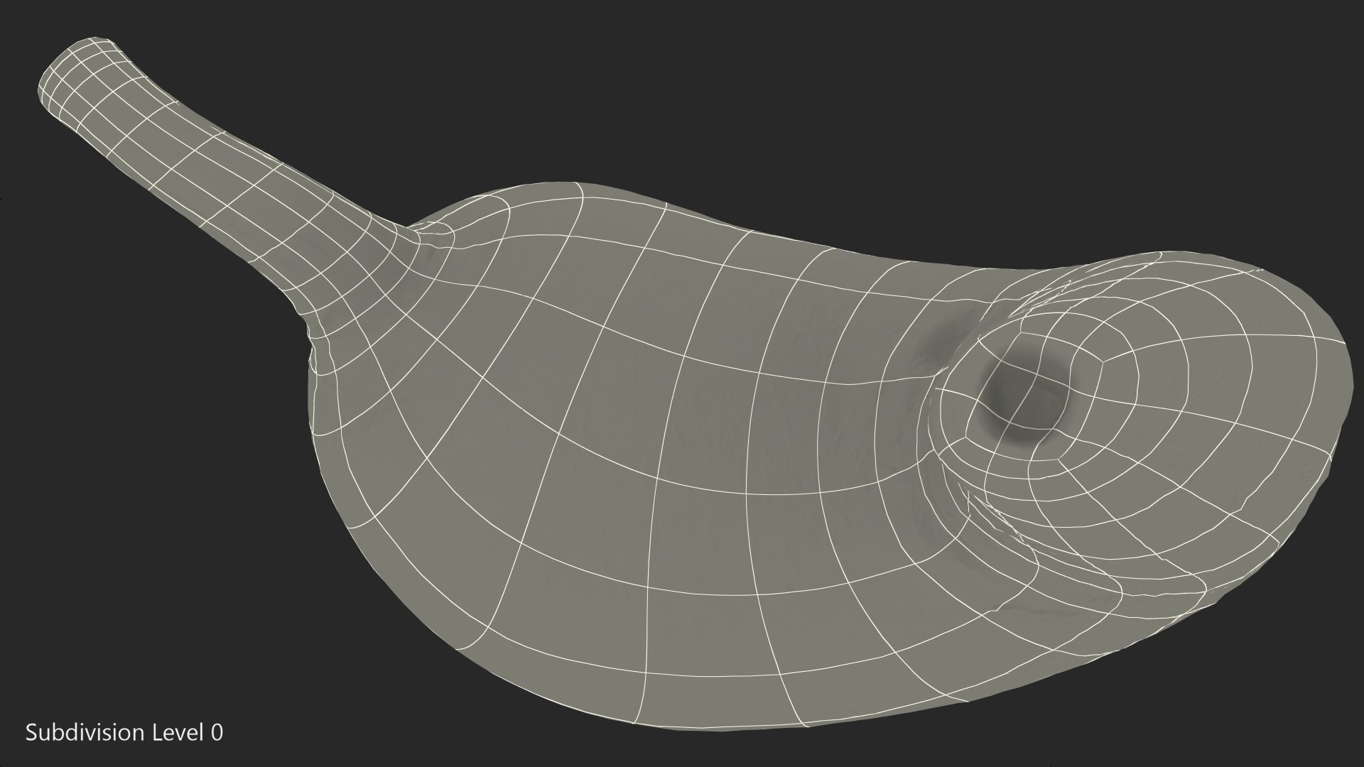 human stomach 3D model https://p.turbosquid.com/ts-thumb/Mz/TUGjLy/uIULb529/humanstomachvray3dmodel010/jpg/1570746388/1920x1080/fit_q87/7ec51f73baa5a8a4aa1e0e940c6411948814a53f/humanstomachvray3dmodel010.jpg