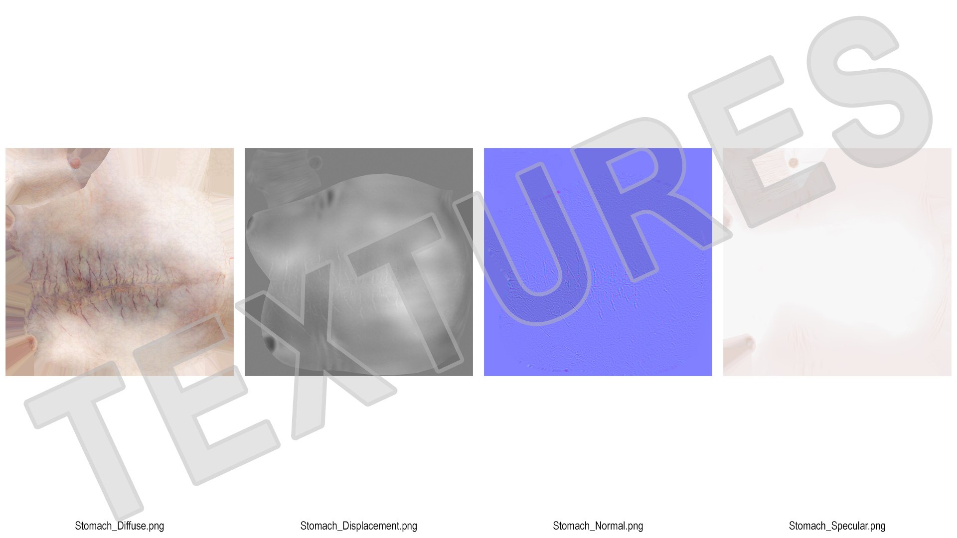 human stomach 3D model https://p.turbosquid.com/ts-thumb/Mz/TUGjLy/uP2vtYxr/humanstomachvray3dmodel013/jpg/1570746400/1920x1080/fit_q87/605e3cd6a8c288017f455d979b006347f63eb3d5/humanstomachvray3dmodel013.jpg