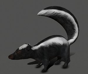 Skunk