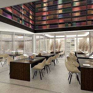 library interior max