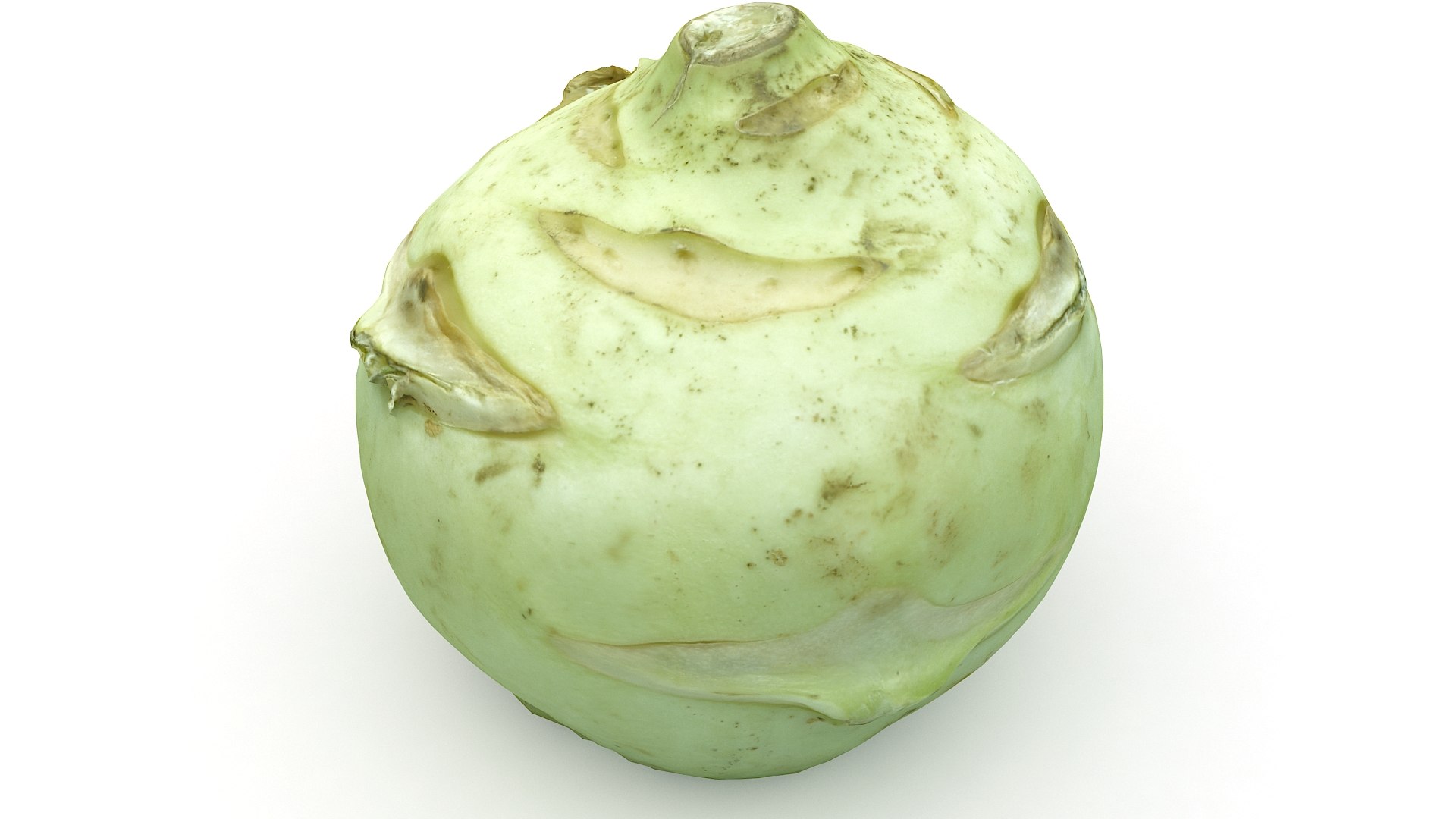 Realistic Cabbage 3D Model - TurboSquid 1467258